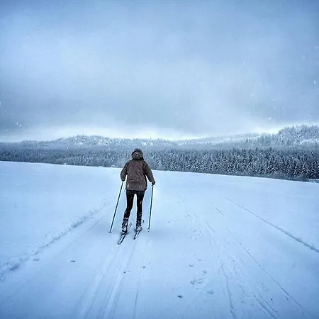 ホステル Schronisko Pttk