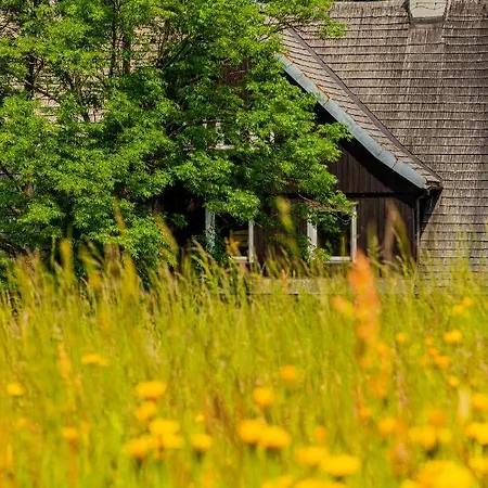 Schronisko Pttk ホステル